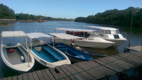 2016-03-01 09.38.00.jpg