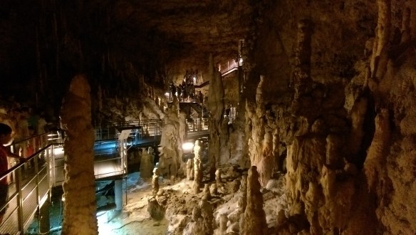 2016-07-14 11.51.02.jpg